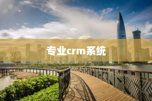 专业crm系统