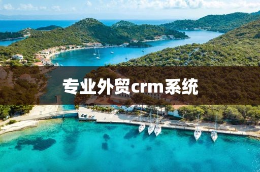 专业外贸crm系统