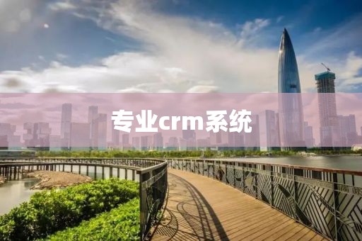 专业crm系统