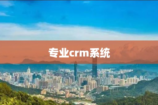 专业crm系统