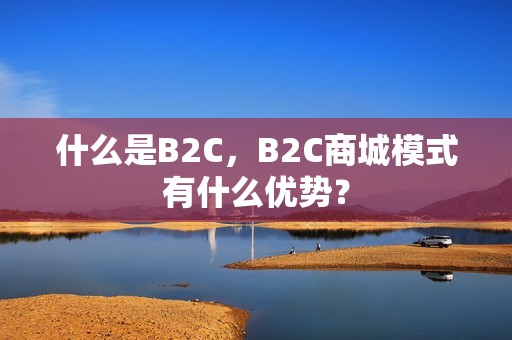 什么是B2C，B2C商城模式有什么优势？